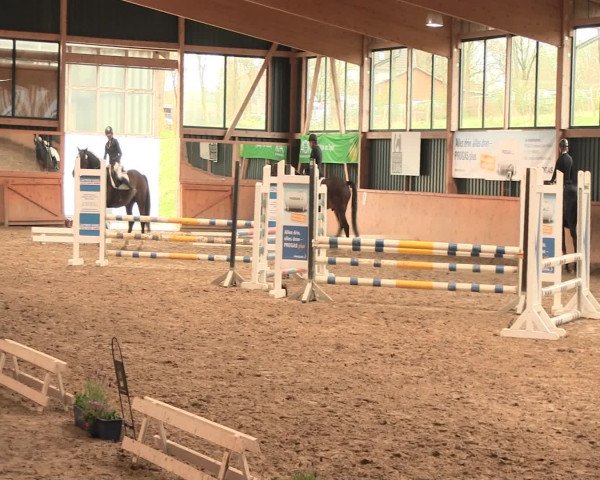 Reitturnier Iserlohn-Süd 2016