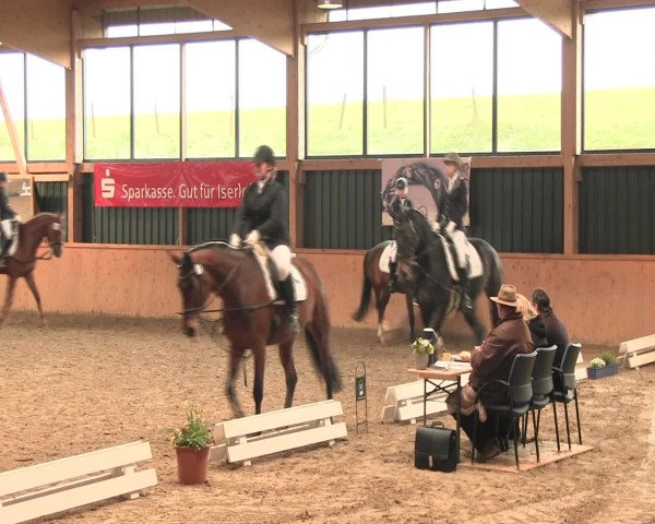 Reitturnier Iserlohn-Süd 2016