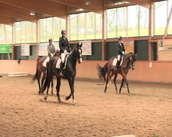 Reitturnier Iserlohn-Süd 2016