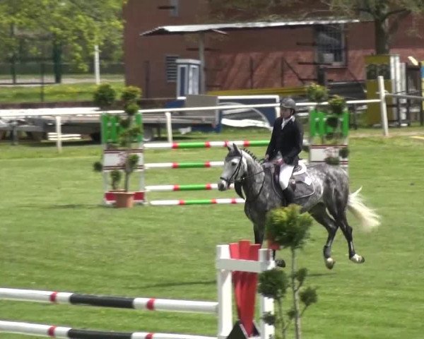 Reitturnier Greppin 2016