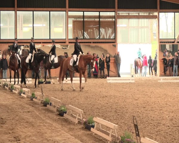 Reitturnier Iserlohn-Süd 2016