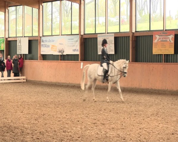 Reitturnier Iserlohn-Süd 2016
