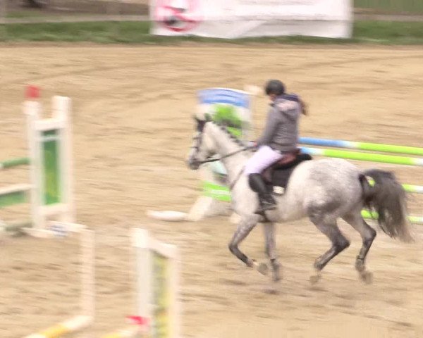 Reitturnier Iserlohn-Süd 2016