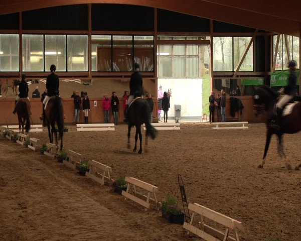 Reitturnier Iserlohn-Süd 2016