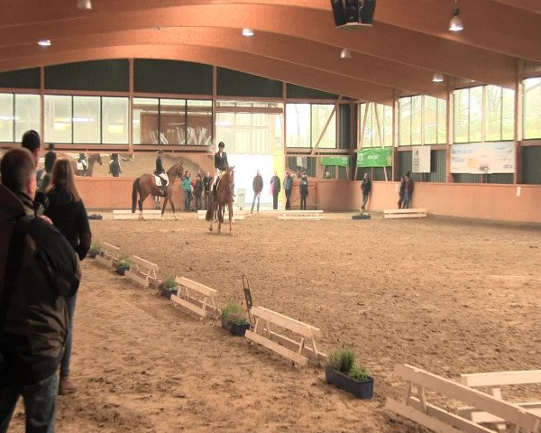Reitturnier Iserlohn-Süd 2016