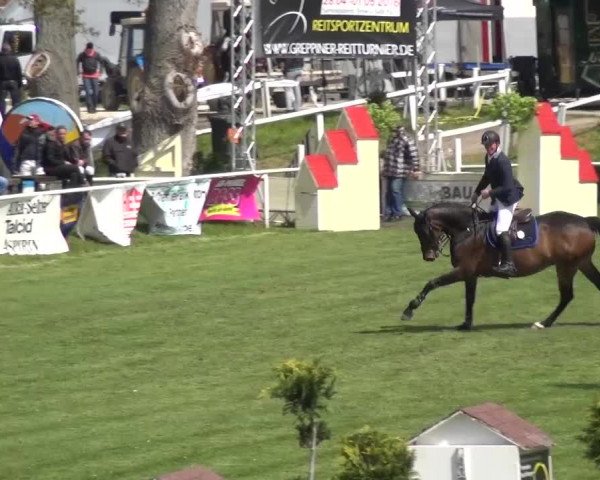 Reitturnier Greppin 2016