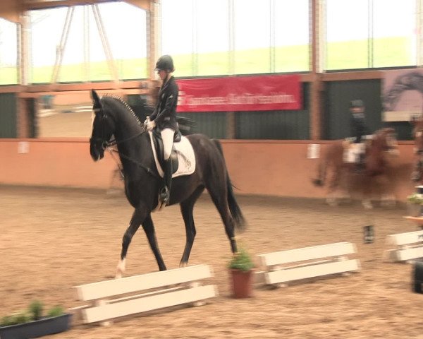 Reitturnier Iserlohn-Süd 2016
