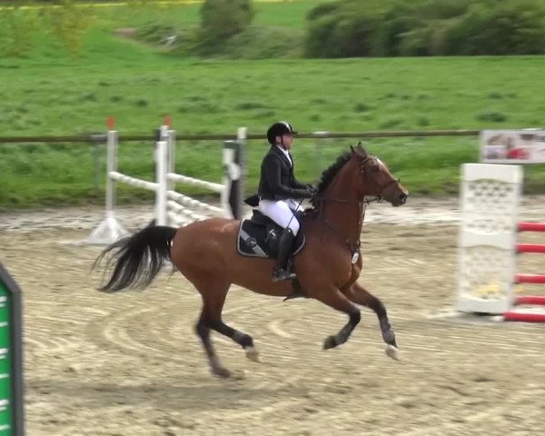 Reitturnier Xanten - Moermter 2016