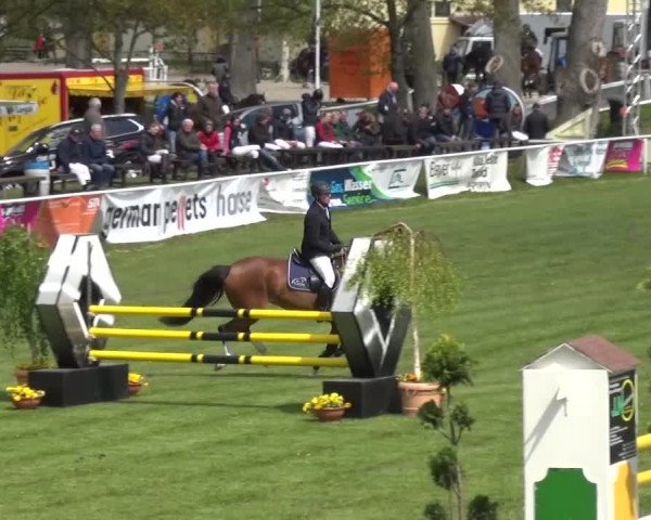 Reitturnier Greppin 2016