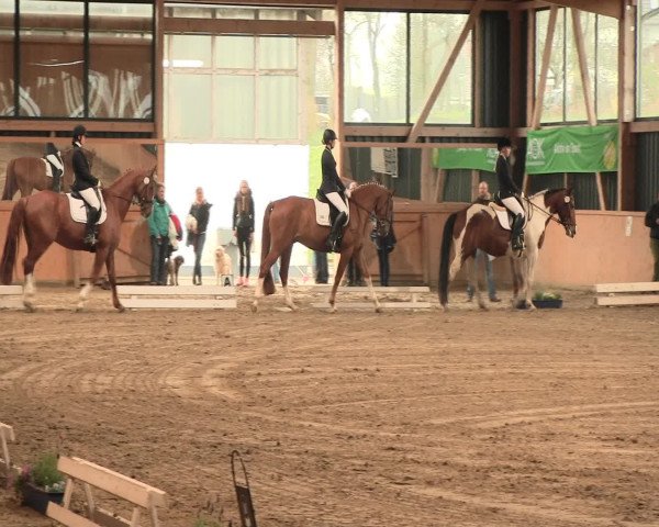 Reitturnier Iserlohn-Süd 2016