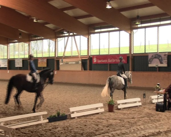 Reitturnier Iserlohn-Süd 2016