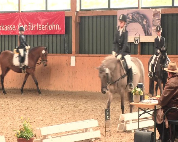 Reitturnier Iserlohn-Süd 2016