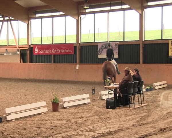 Reitturnier Iserlohn-Süd 2016