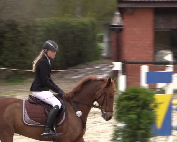 Reitturnier Havixbeck 2016