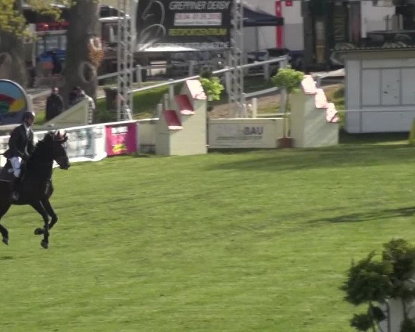 Reitturnier Greppin 2016