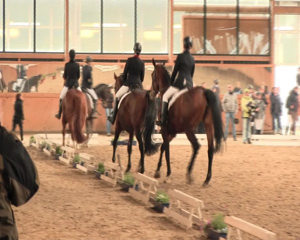 Reitturnier Iserlohn-Süd 2016