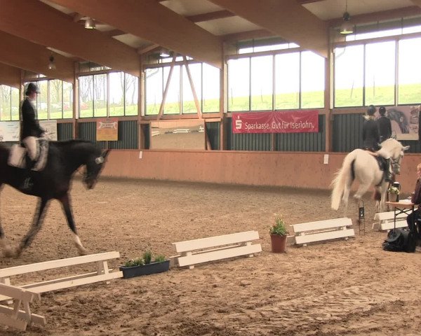 Reitturnier Iserlohn-Süd 2016