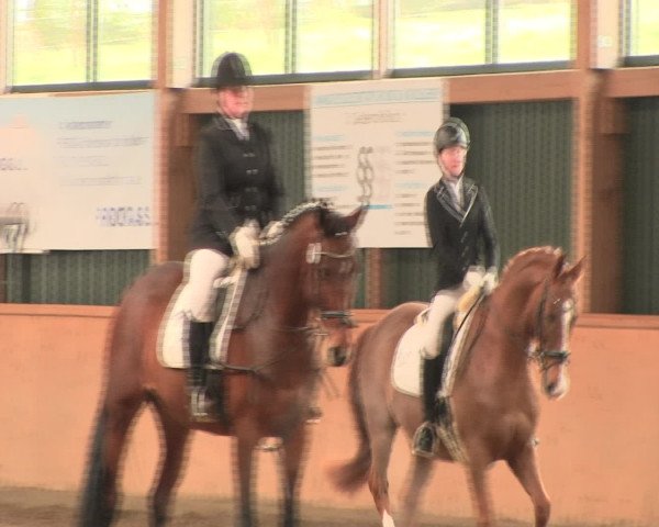 Reitturnier Iserlohn-Süd 2016