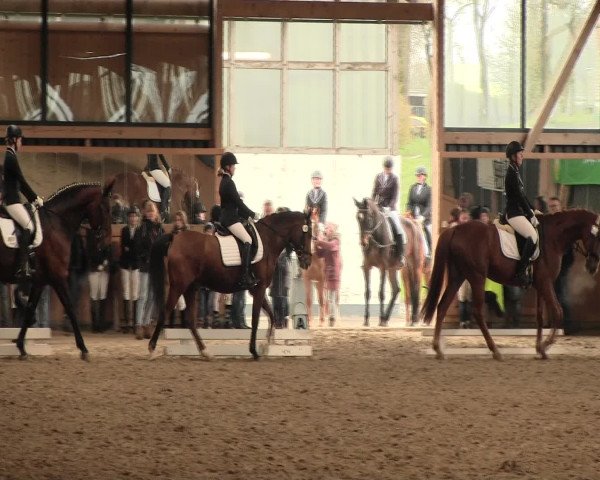 Reitturnier Iserlohn-Süd 2016