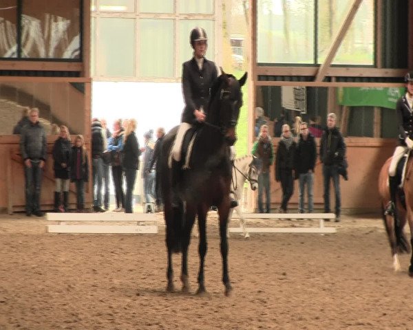 Reitturnier Iserlohn-Süd 2016