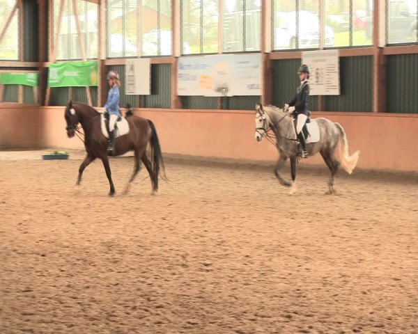 Reitturnier Iserlohn-Süd 2016