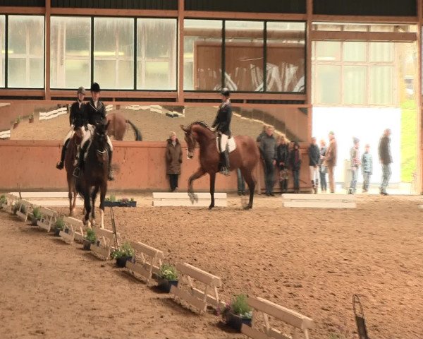 Reitturnier Iserlohn-Süd 2016