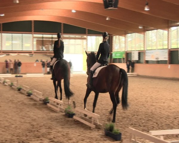 Reitturnier Iserlohn-Süd 2016