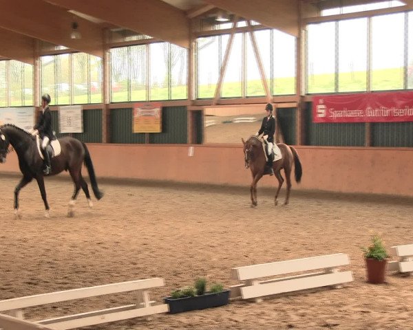 Reitturnier Iserlohn-Süd 2016