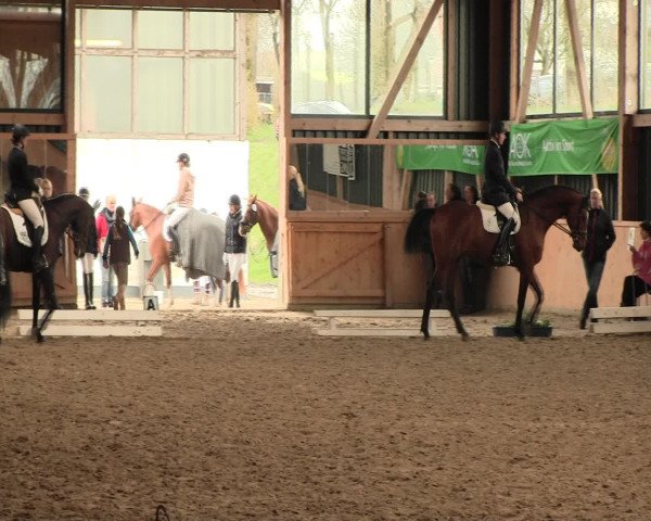 Reitturnier Iserlohn-Süd 2016