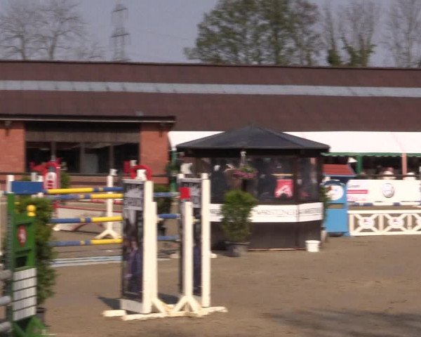 Reitturnier Havixbeck 2016