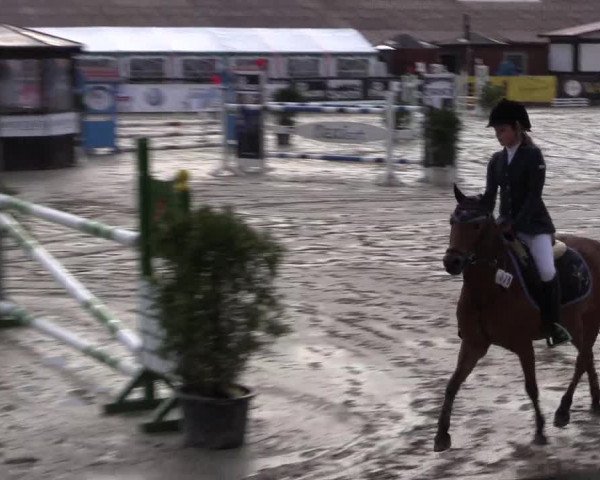 Reitturnier Havixbeck 2016