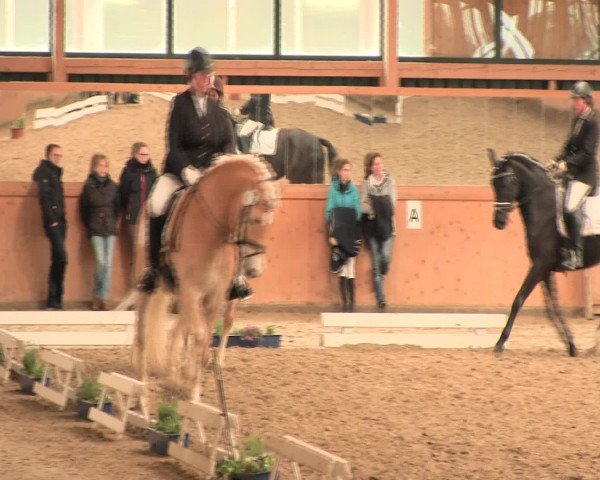 Reitturnier Iserlohn-Süd 2016