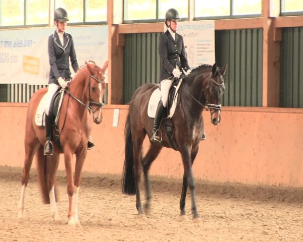 Reitturnier Iserlohn-Süd 2016