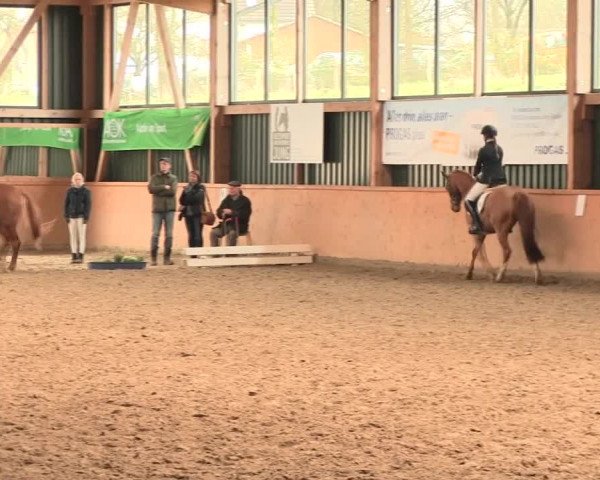 Reitturnier Iserlohn-Süd 2016