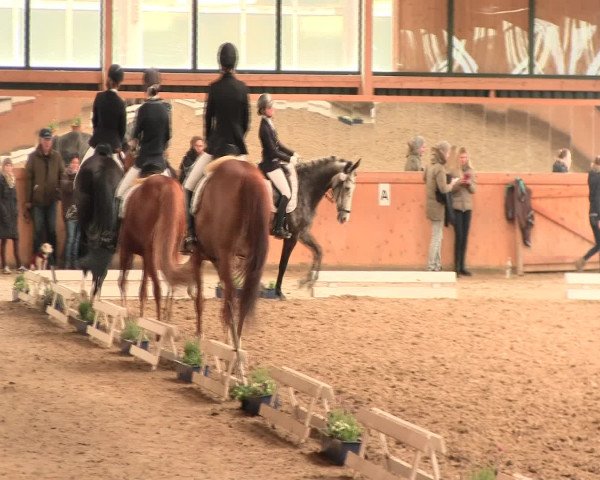 Reitturnier Iserlohn-Süd 2016