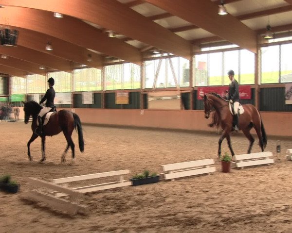 Reitturnier Iserlohn-Süd 2016