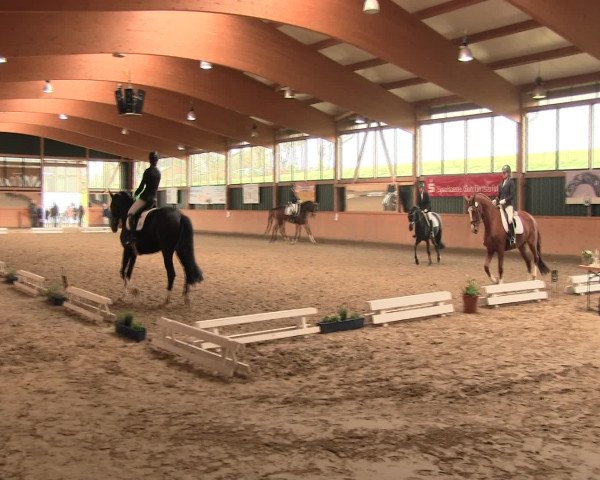 Reitturnier Iserlohn-Süd 2016
