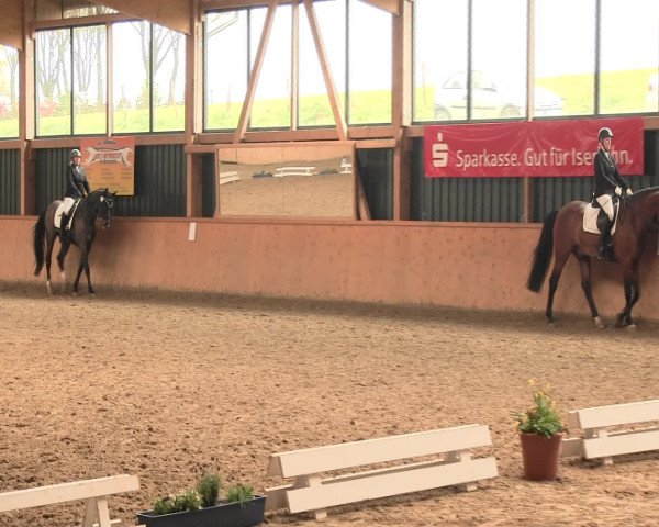 Reitturnier Iserlohn-Süd 2016