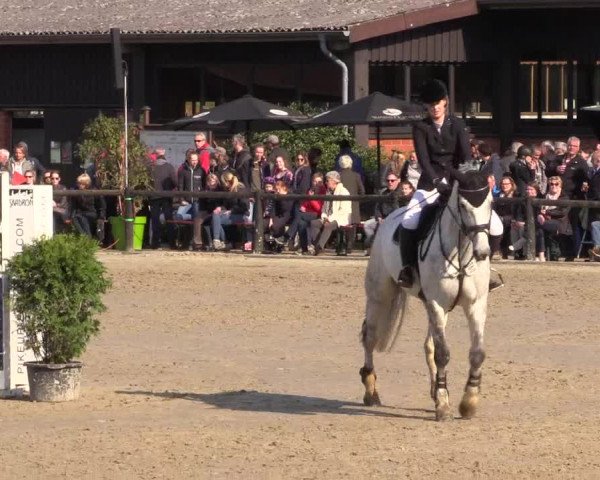 Reitturnier Havixbeck 2016