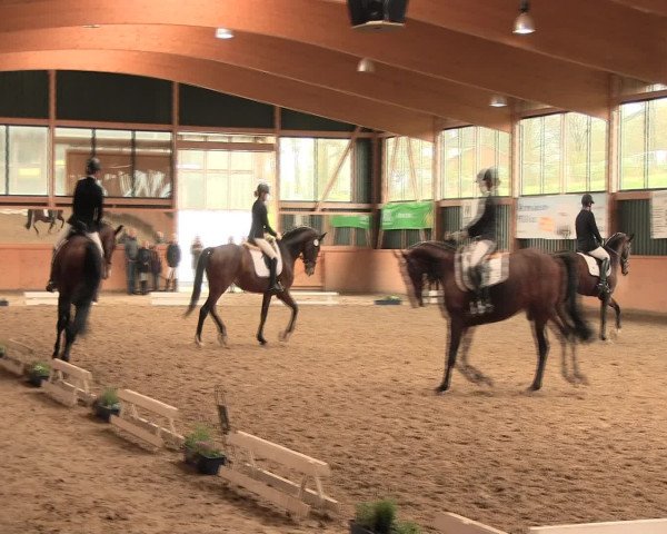 Reitturnier Iserlohn-Süd 2016