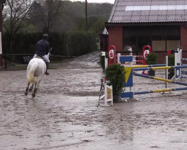 Reitturnier Havixbeck 2016