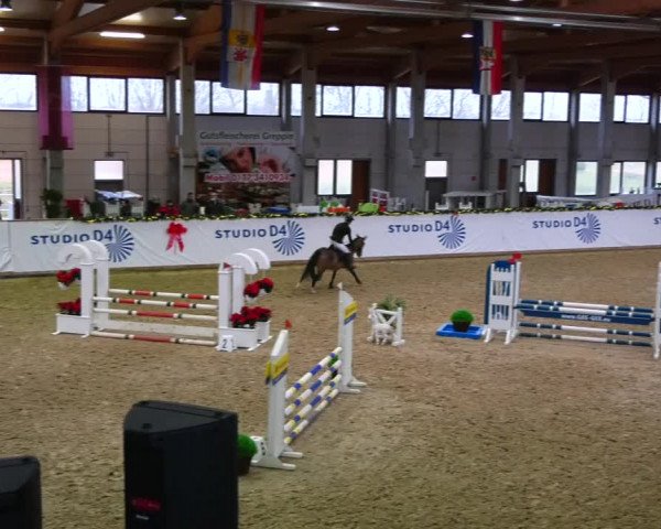 Christmas Jumping Trophy Prussendorf 2021