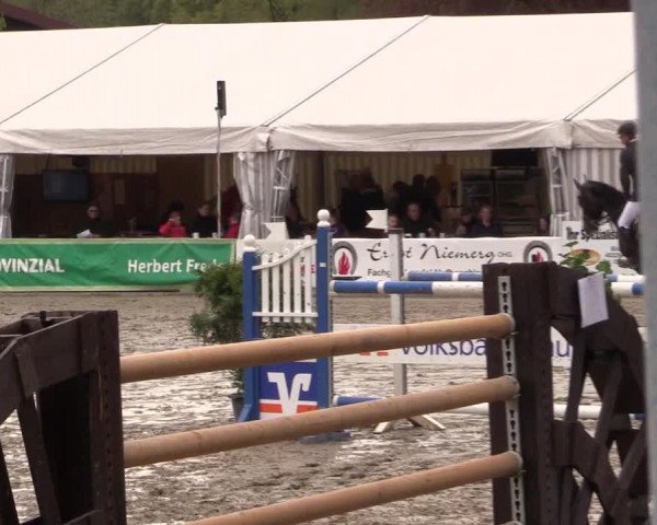 Reitturnier Havixbeck 2016