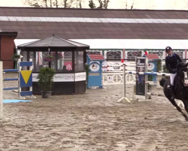Reitturnier Havixbeck 2016