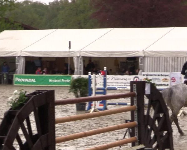 Reitturnier Havixbeck 2016