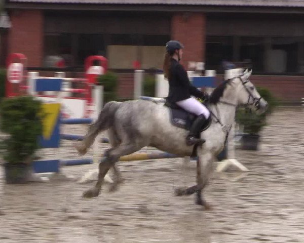 Reitturnier Havixbeck 2016