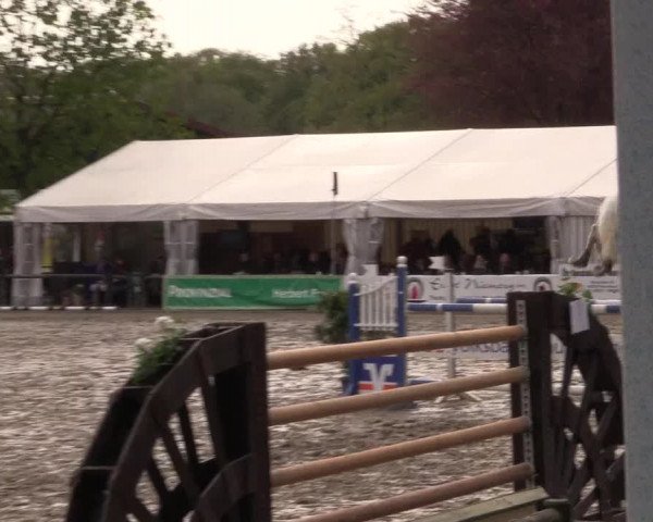 Reitturnier Havixbeck 2016