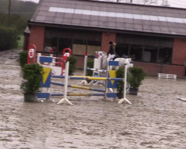 Reitturnier Havixbeck 2016