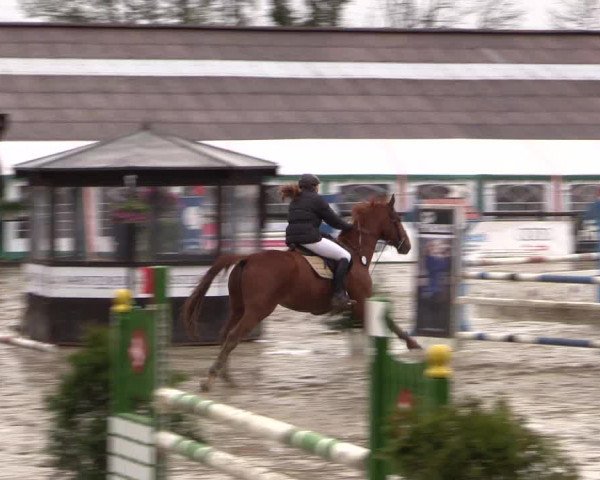 Reitturnier Havixbeck 2016