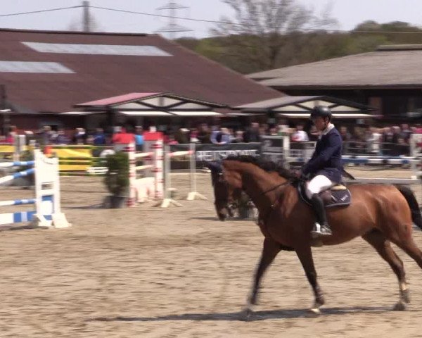 Reitturnier Havixbeck 2016